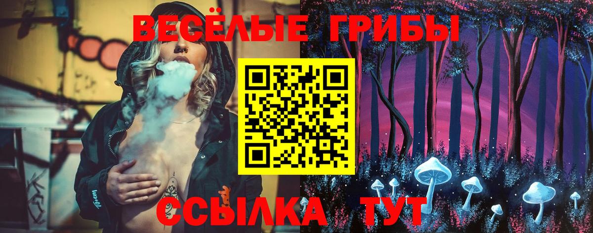 Галлюциногенные грибы Psilocybine cubensis Качканар