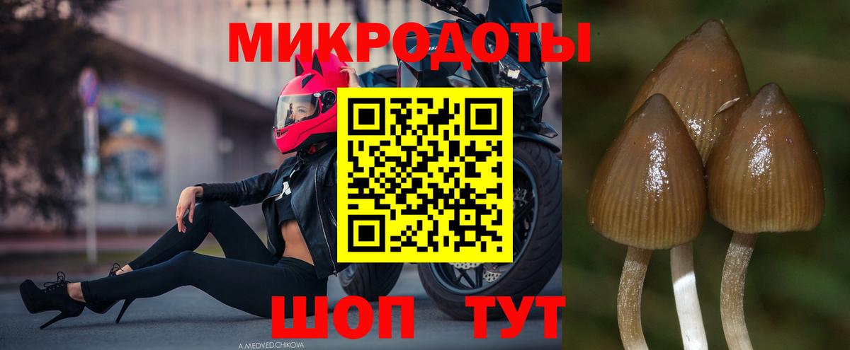 Галлюциногенные грибы ЛСД  цены наркотик  Качканар  Вход с VPN 